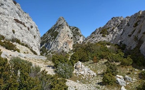 Alpilles Crest