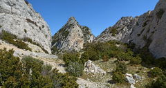 Alpilles Crest
