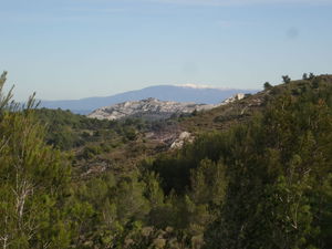 Quatre Termes and Baume Brignolle