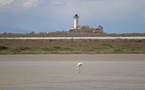 Étangs de Camargue