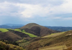Suhalmendi