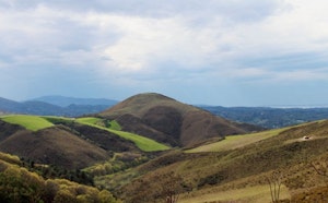 Suhalmendi
