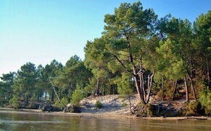 Lac de Cazaux-Sanguinet depuis Biscarrosse-Plage