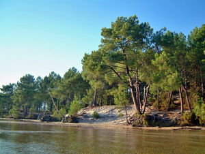 Lac de Cazaux-Sanguinet depuis Biscarrosse-Plage