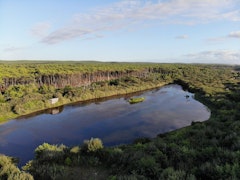 Étang de la Maillouèyre