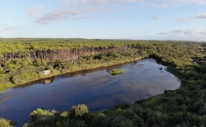 Étang de la Maillouèyre