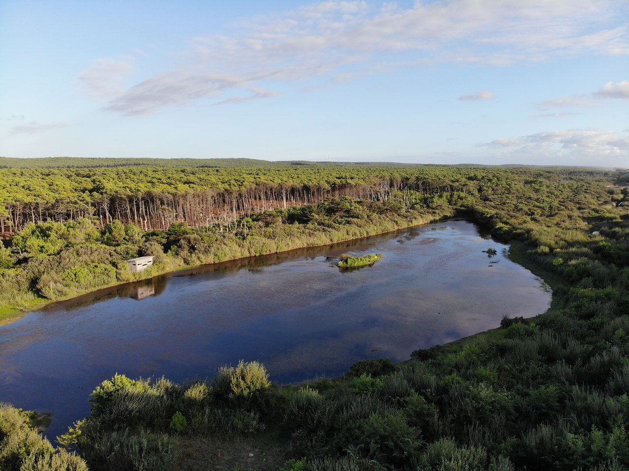 Étang de la Maillouèyre