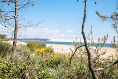 Cap Ferret