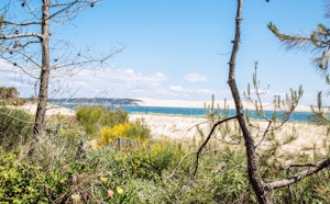 Cap Ferret