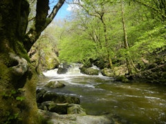Saut du Chalard