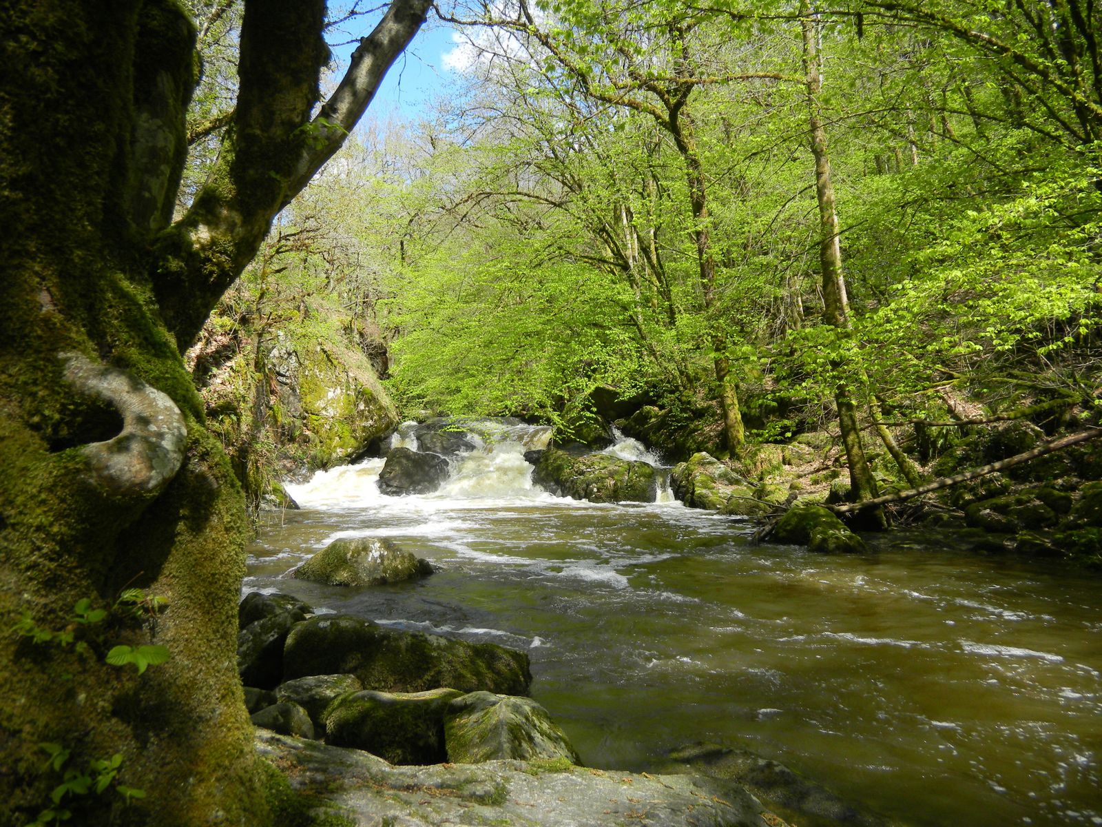 Saut du Chalard