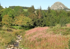 Sources of the Loire