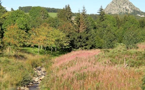 Sources of the Loire