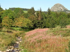 Sources of the Loire