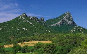 Pic Saint-Loup
