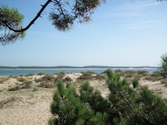 South of Oléron