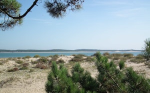 South of Oléron