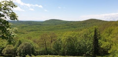 Forêt de Grésigne