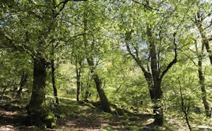 Sentier de la Baronne