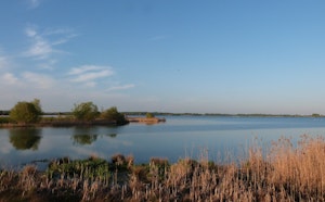 Lac Amance