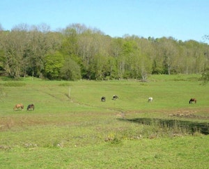 Heights of Eulmont