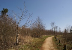 Plateau de Malzeville