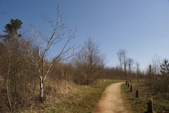 Plateau de Malzeville