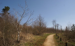 Plateau de Malzeville