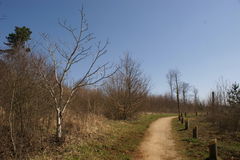 Plateau de Malzeville