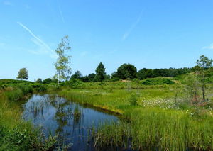 Circuit d'Esmoulières