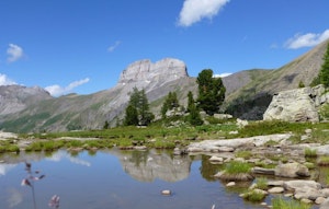Eaux Tortes