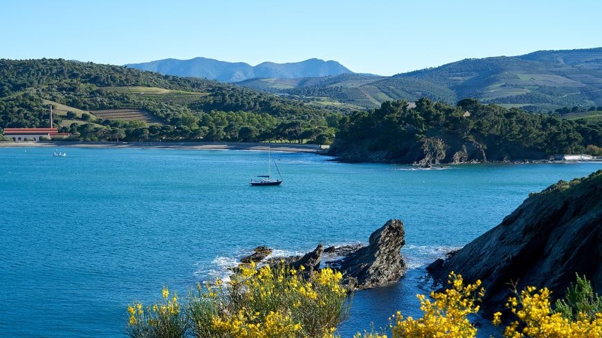 From Banyuls to Port-Vendres