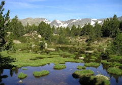 Lacs du Carlit