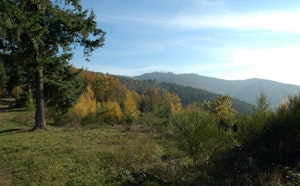 Around Col du Châtoux