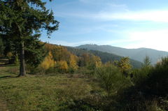 Around Col du Châtoux