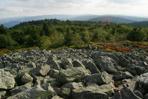 Crêt de la Perdrix depuis Chaubouret