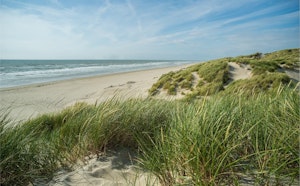 Baie d'Authie