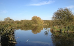 Marais des Cavins