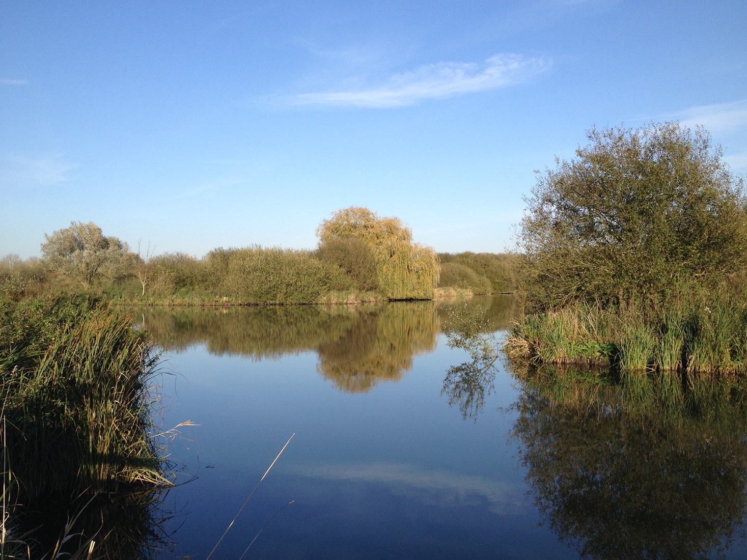 Marais des Cavins