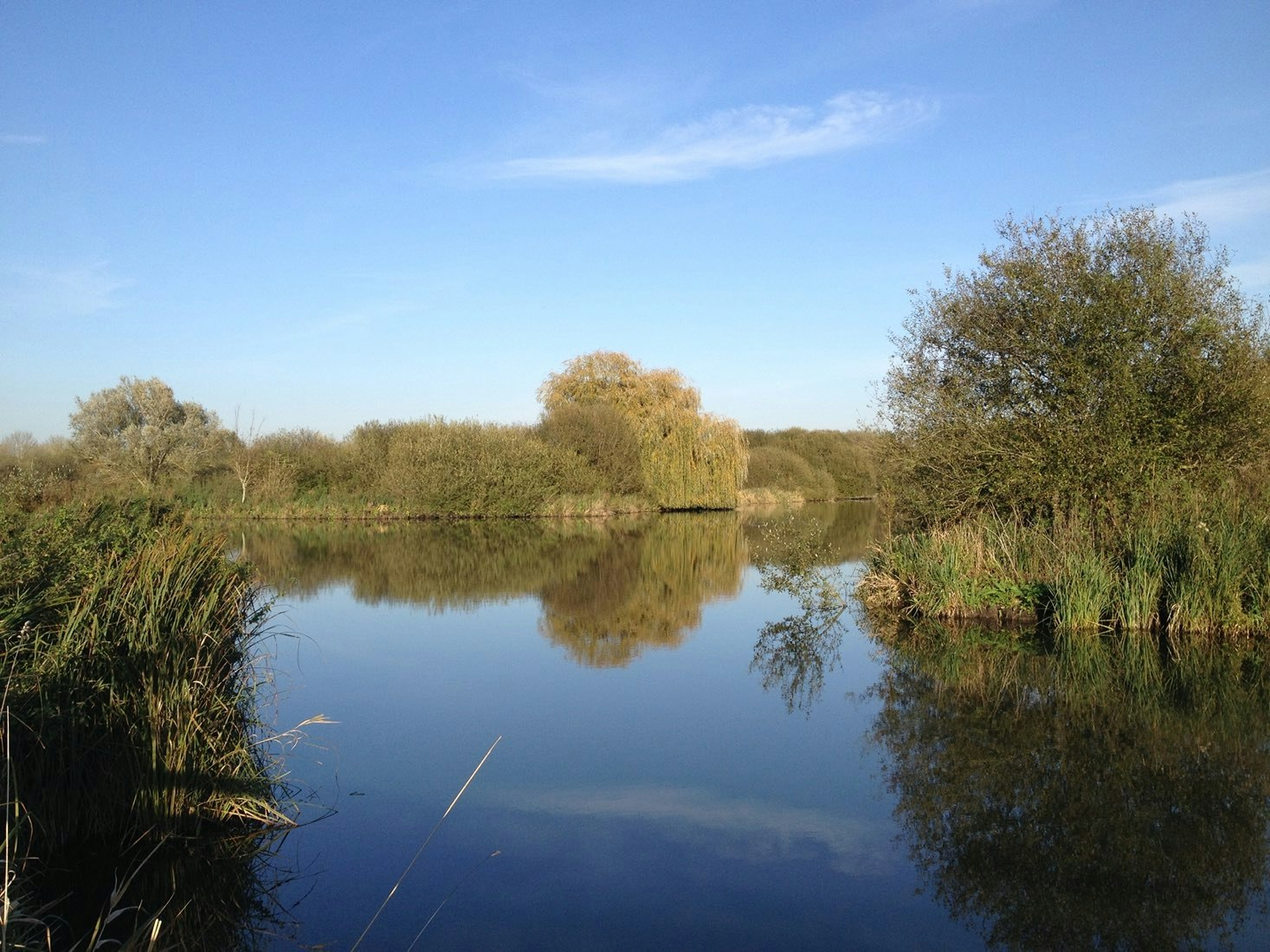 Marais des Cavins