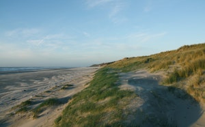 Dunes d'Écault