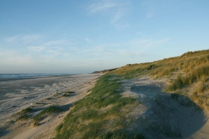 Dunes d'Écault