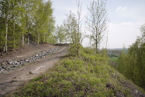 Entre Terrils et Forêt