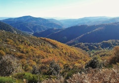 Cham du Cros