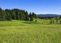 Les Trois Combes