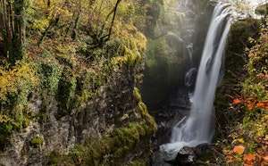 Source of the Saine
