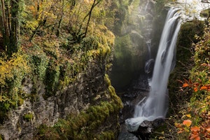 Source of the Saine