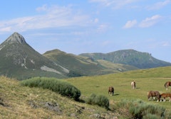 Puy Griou