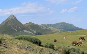 Puy Griou