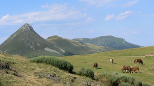 Puy Griou